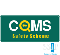 logo with SSIP med copy2
